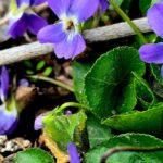 Погода в Україні 3