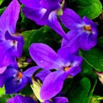 Погода в Україні 3