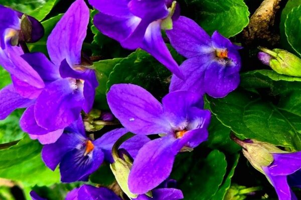 Погода в Україні 3