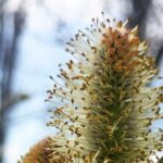 погода в Україні 3