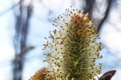 погода в Україні 3