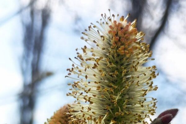 погода в Україні 3