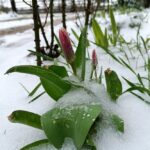 Погода в Україні 3