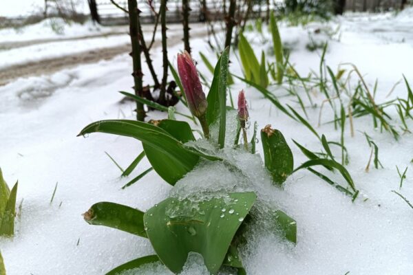 Погода в Україні 3