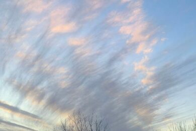 До 17 градусів тепла: якою буде погода в Україні 9 березня