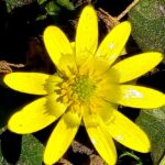 погода в Україні 3