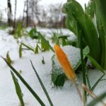 Погода в Україніі