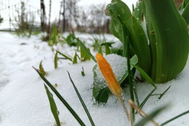 Хмарно з проясненнями, опади: якою буде погода в Україні 3 березня