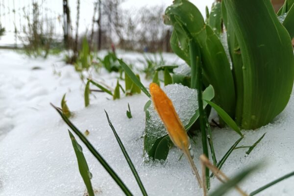 Погода в Україніі