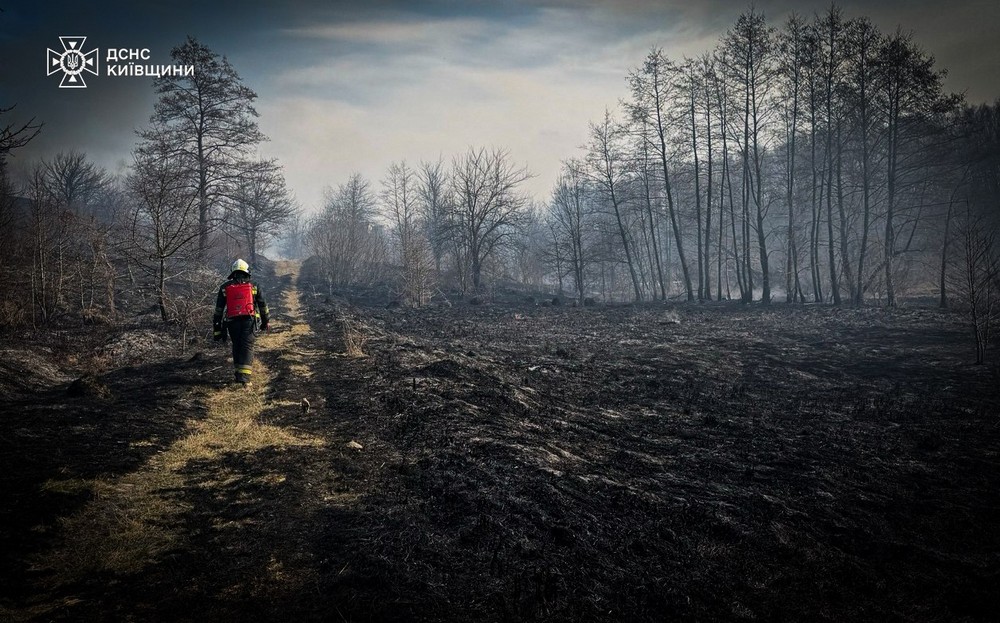 пожежі на київщині (1)