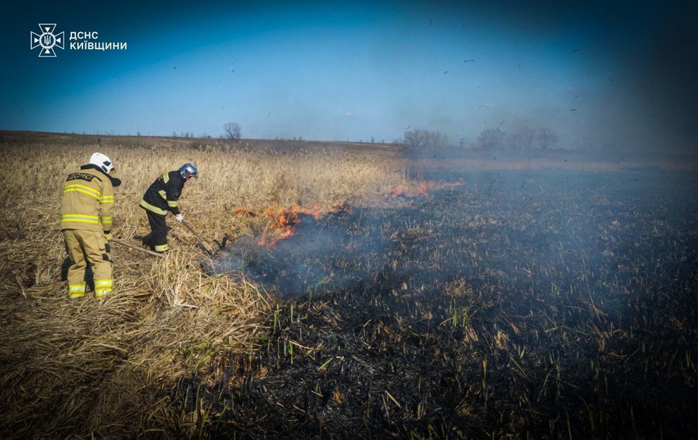 пожежі на київщині (4)