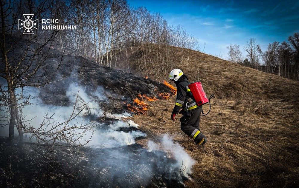 пожежі на київщині (9)