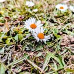 11 березня – яке сьогодні свято, прикмети і традиції, пам’ятні дати, іменини