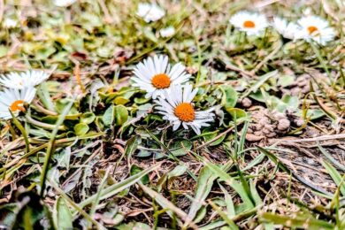 11 березня – яке сьогодні свято, прикмети і традиції, пам’ятні дати, іменини
