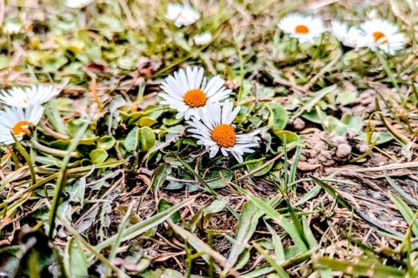 11 березня – яке сьогодні свято, прикмети і традиції, пам’ятні дати, іменини