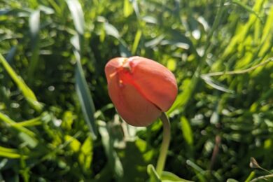 22 березня – яке сьогодні свято, прикмети і традиції, пам’ятні дати, іменини