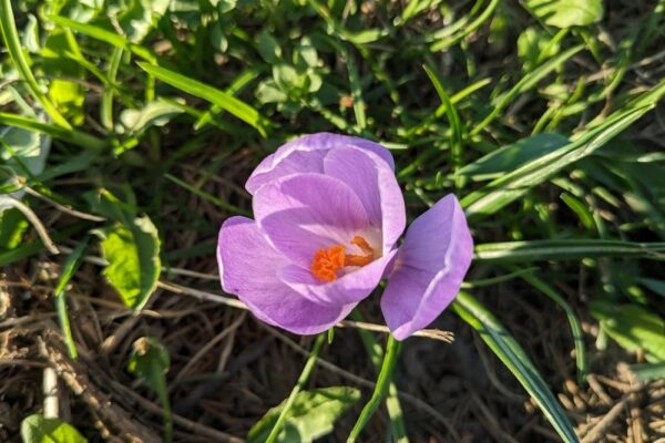 23 березня  – яке сьогодні свято, прикмети і традиції, пам’ятні дати, іменини