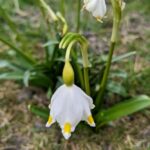 24 березня  – яке сьогодні свято, прикмети і традиції, пам’ятні дати, іменини