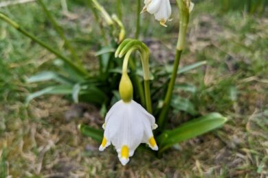 24 березня  – яке сьогодні свято, прикмети і традиції, пам’ятні дати, іменини