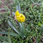 29 березня  – яке сьогодні свято, прикмети і традиції, пам’ятні дати, іменини