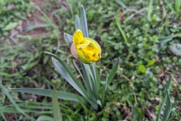 29 березня  – яке сьогодні свято, прикмети і традиції, пам’ятні дати, іменини