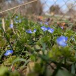 30 березня  – яке сьогодні свято, прикмети і традиції, пам’ятні дати, іменини