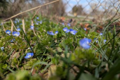 30 березня  – яке сьогодні свято, прикмети і традиції, пам’ятні дати, іменини