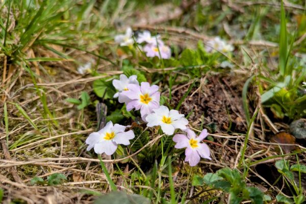12 березня  – яке сьогодні свято, прикмети і традиції, пам’ятні дати, іменини