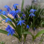 31 березня  – яке сьогодні свято, прикмети і традиції, пам’ятні дати, іменини