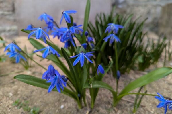 31 березня – яке сьогодні свято, прикмети і традиції, пам’ятні дати, іменини