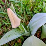 28 березня  – яке сьогодні свято, прикмети і традиції, пам’ятні дати, іменини