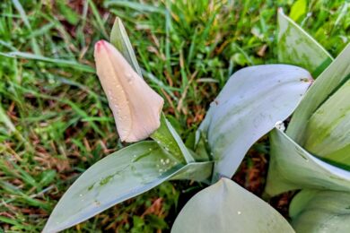 28 березня – яке сьогодні свято, прикмети і традиції, пам’ятні дати, іменини