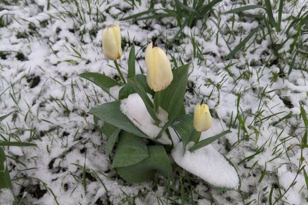 4 березня  – яке сьогодні свято, прикмети і традиції, пам’ятні дати, іменини