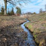 6 березня  – яке сьогодні свято, прикмети і традиції, пам’ятні дати, іменини