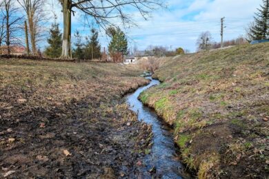 6 березня  – яке сьогодні свято, прикмети і традиції, пам’ятні дати, іменини