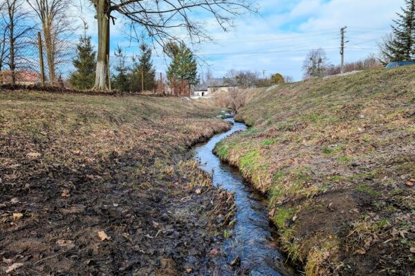 6 березня  – яке сьогодні свято, прикмети і традиції, пам’ятні дати, іменини