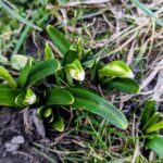 9 березня  – яке сьогодні свято, прикмети і традиції, пам’ятні дати, іменини