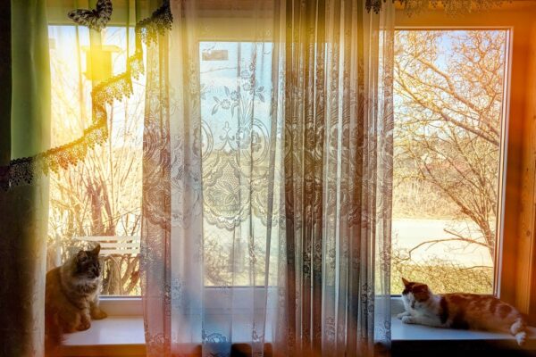 26 березня  – яке сьогодні свято, прикмети і традиції, пам’ятні дати, іменини