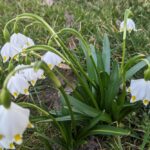 19 березня  – яке сьогодні свято, прикмети і традиції, пам’ятні дати, іменини