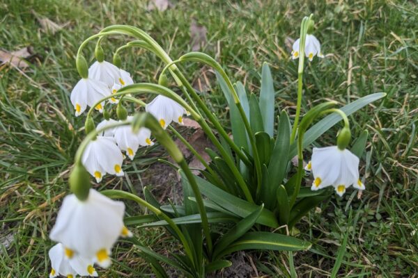 19 березня  – яке сьогодні свято, прикмети і традиції, пам’ятні дати, іменини