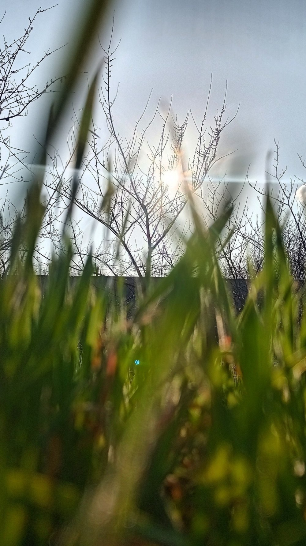 свята у квітні 2