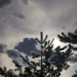 Мінлива хмарність, місцями дощ – якою буде погода в Україні 22 березня