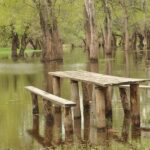 Чи загрожує підтоплення річкам цієї весни в Україні