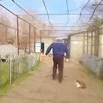 Самотужки вийшов із Берислава: поліцейські