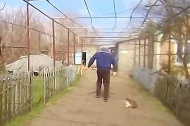 Самотужки вийшов із Берислава: поліцейські