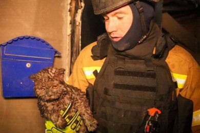 Серед загиблих літня пара, багато поранених: нічна повітряна атака 24 квітня – все, що відомо (фото)