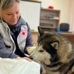 Гуманітарна допомога для ВПО на Житомирщині – можна отримати корм для тварин