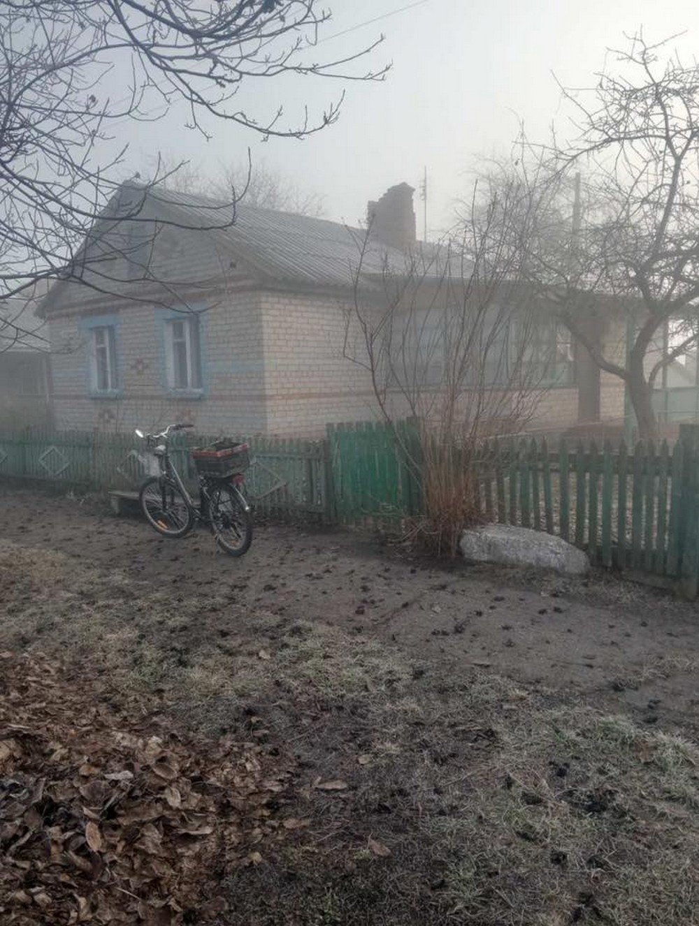 673617474 26512184605099802 4017001031098729110 n