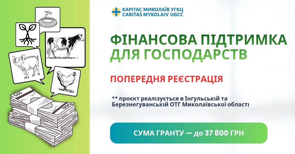 Відкрито прийом заявок на грошову допомогу до  37 800  грн – хто і як може отримати