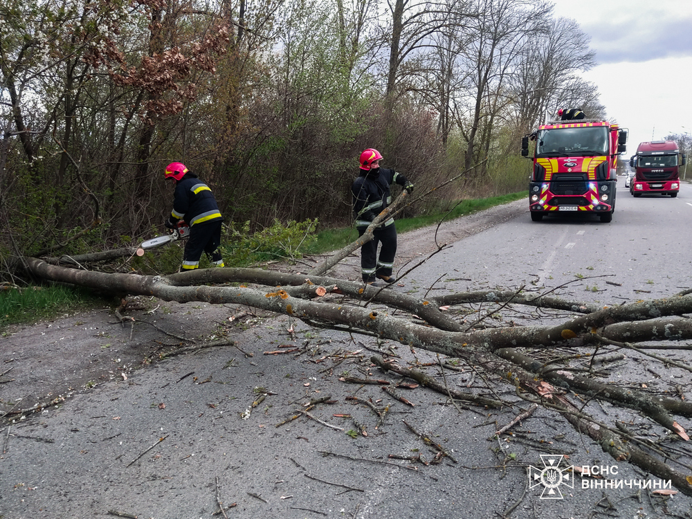 679718742 1407875578046994 4599305015880103082 n